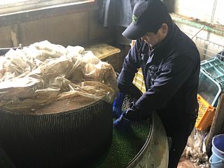 簡易式脱脂・洗浄加工（バレル研磨）の様子3